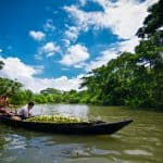 floating market tour packages