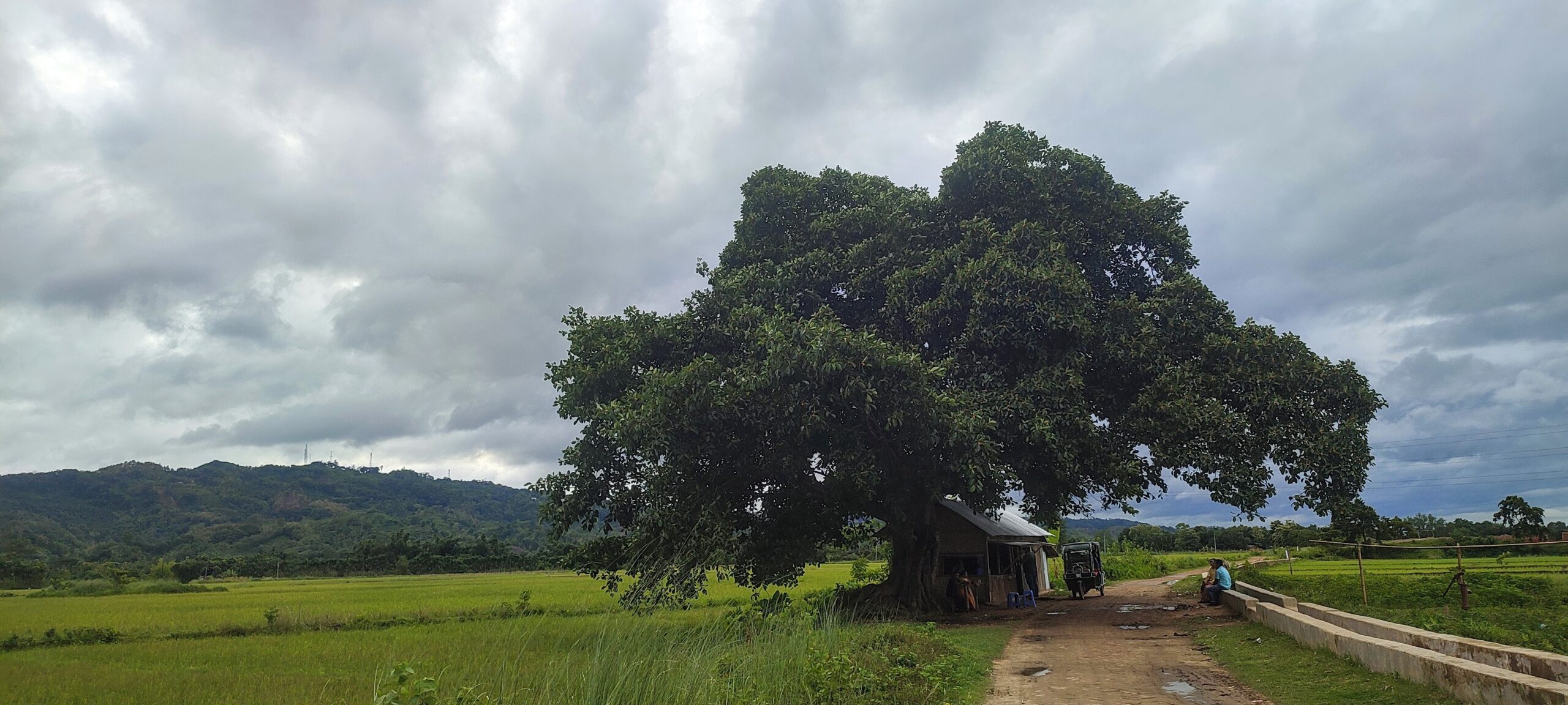 বটবৃক্ষের নীচে চা আড্ডায় scaled